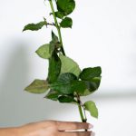 Experience Gift - For you