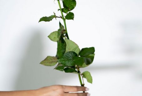 Experience Gift - For you