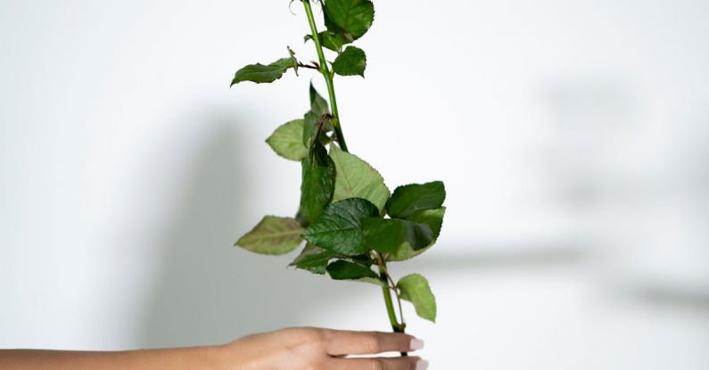 Experience Gift - For you