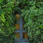 Hidden Costs - Entrée caché dans les plantes