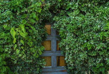 Hidden Costs - Entrée caché dans les plantes