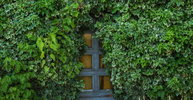 Hidden Costs - Entrée caché dans les plantes