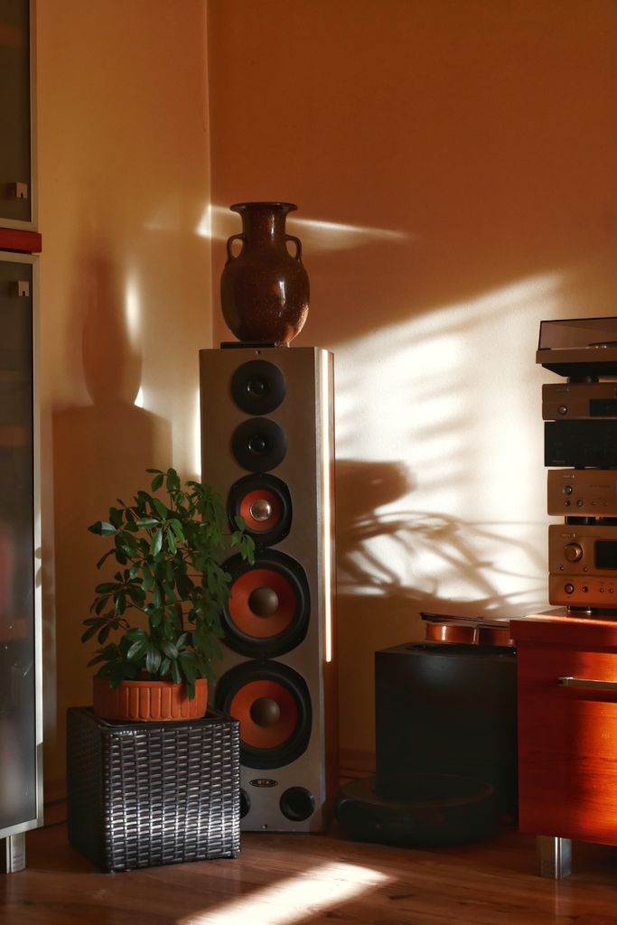 Sunlit corner of a living room featuring a tower speaker, plant, and vase for a cozy ambiance.